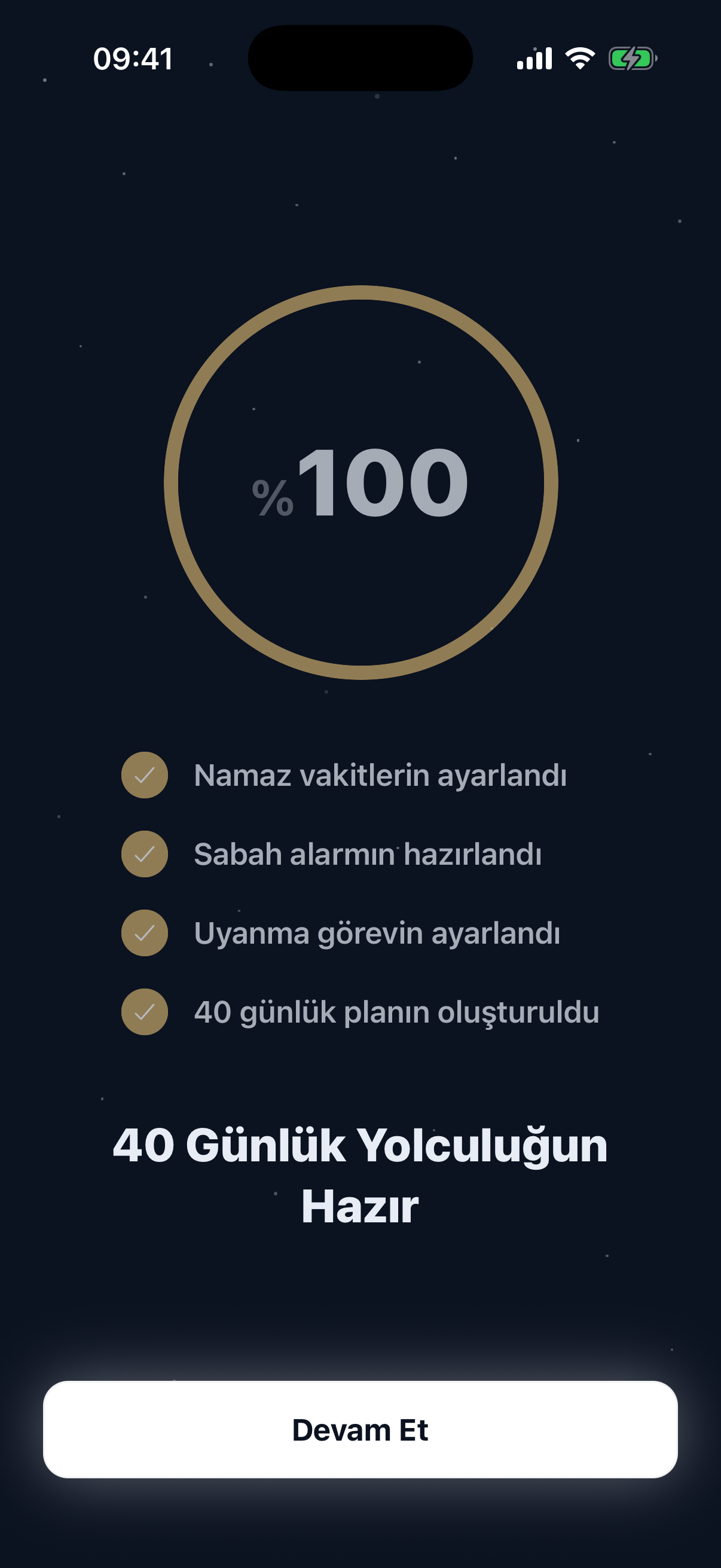 Seri ekranı, 40 günlük ilerleme